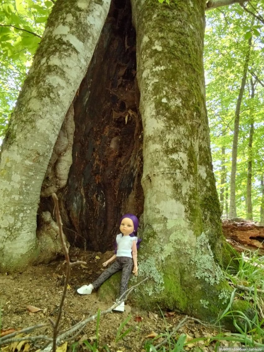По горам, лесам и рекам (из цикла Лето Лаванды) | Бэйбики По горам, лесам и рекам (из цикла Лето Лаванды)
