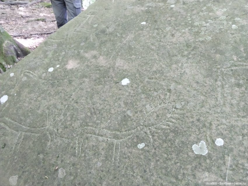 По горам, лесам и рекам (из цикла Лето Лаванды) | Бэйбики По горам, лесам и рекам (из цикла Лето Лаванды) (фото 7)