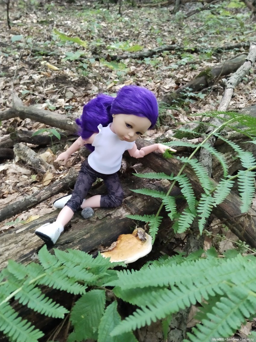 По горам, лесам и рекам (из цикла Лето Лаванды) | Бэйбики По горам, лесам и рекам (из цикла Лето Лаванды)