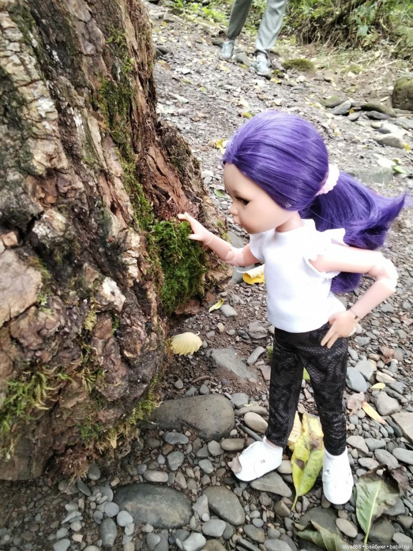 По горам, лесам и рекам (из цикла Лето Лаванды) | Бэйбики По горам, лесам и рекам (из цикла Лето Лаванды)