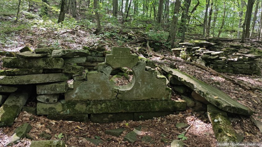 По горам, лесам и рекам (из цикла Лето Лаванды) | Бэйбики По горам, лесам и рекам (из цикла Лето Лаванды)