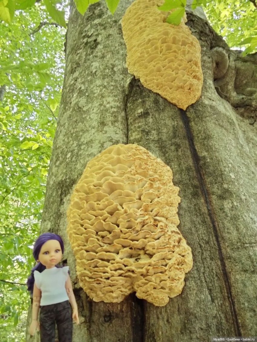 По горам, лесам и рекам (из цикла Лето Лаванды) | Бэйбики По горам, лесам и рекам (из цикла Лето Лаванды)