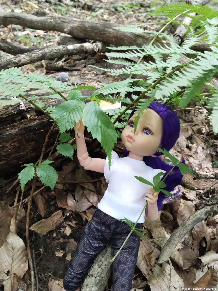 По горам, лесам и рекам (из цикла Лето Лаванды) | Бэйбики По горам, лесам и рекам (из цикла Лето Лаванды) (фото 9)