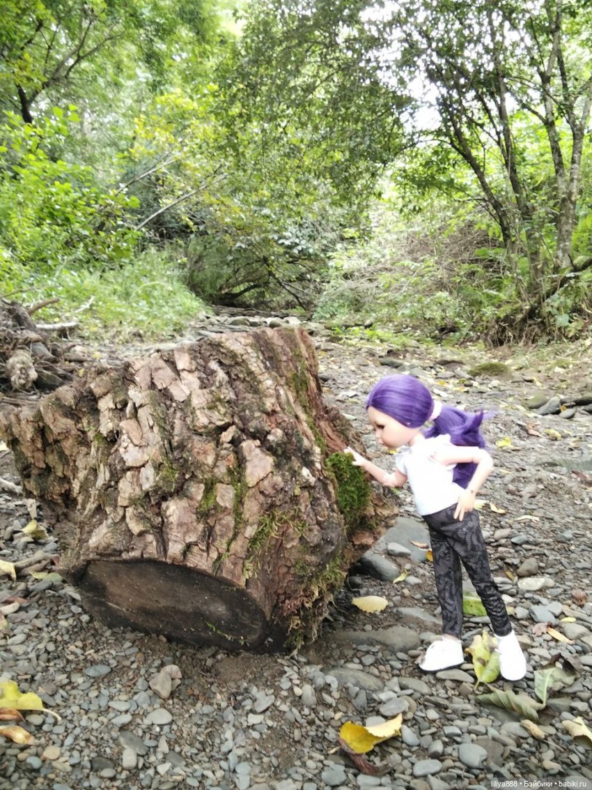 По горам, лесам и рекам (из цикла Лето Лаванды) | Бэйбики По горам, лесам и рекам (из цикла Лето Лаванды)