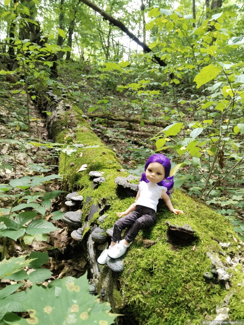 По горам, лесам и рекам (из цикла Лето Лаванды) | Бэйбики По горам, лесам и рекам (из цикла Лето Лаванды)