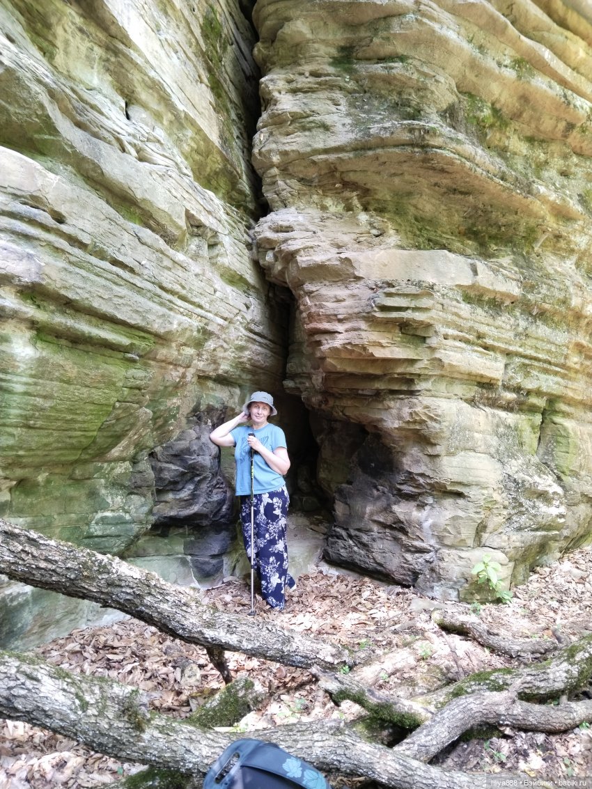 По горам, лесам и рекам (из цикла Лето Лаванды) | Бэйбики По горам, лесам и рекам (из цикла Лето Лаванды)