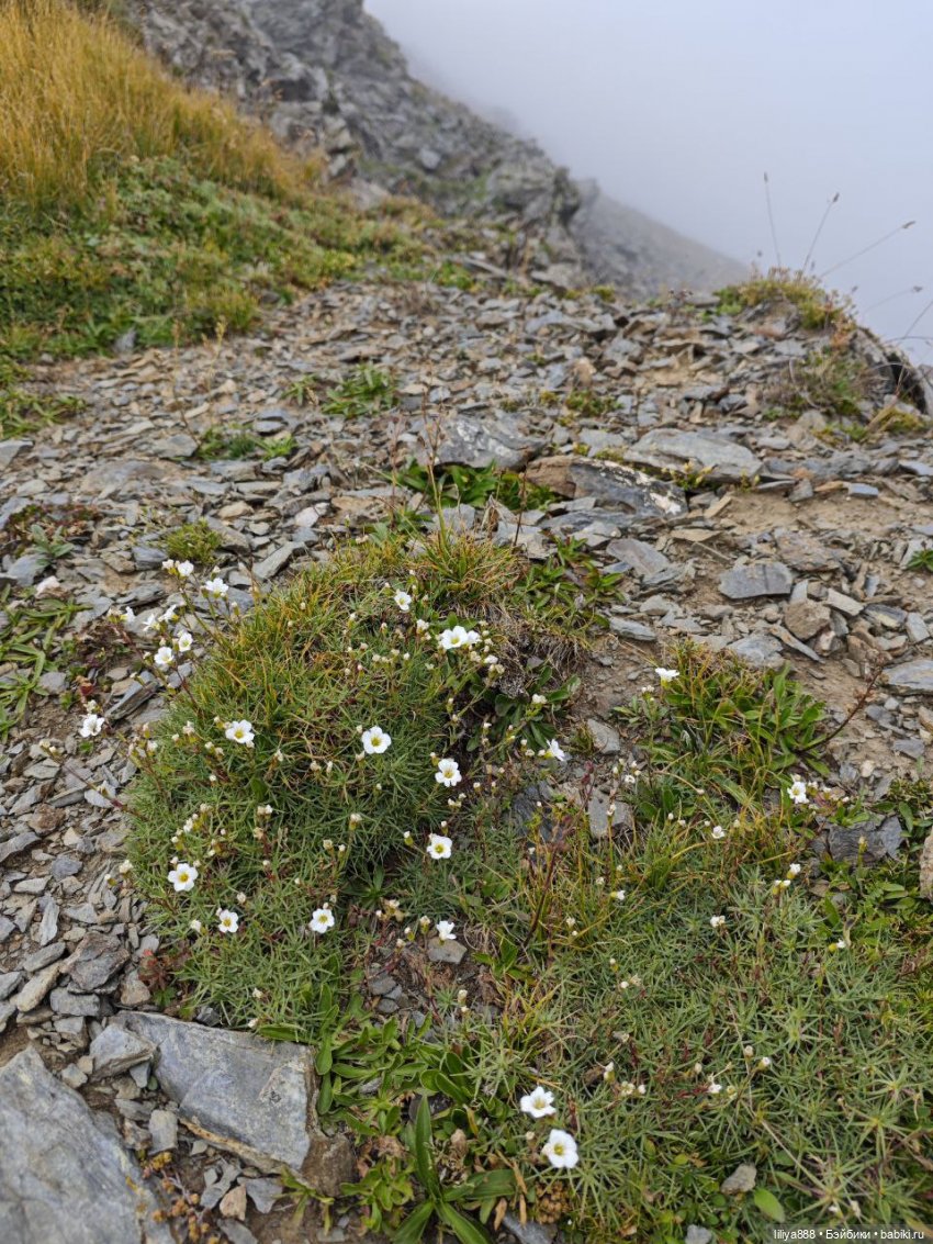 Кукла идёт в горы. ⛰️🌄⛰️ — Куклы Paola Reina (Паола Рейна): новинки