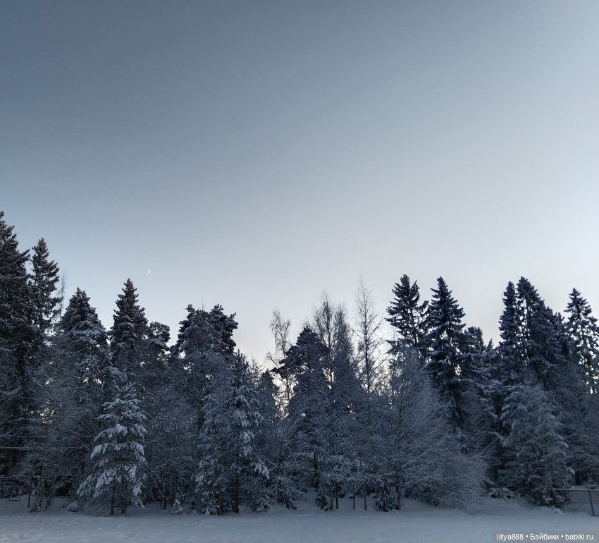 Зимние мотивы ❄️ — Куклы Ruby Red (Руби Ред) Fashion Friends: Siblies