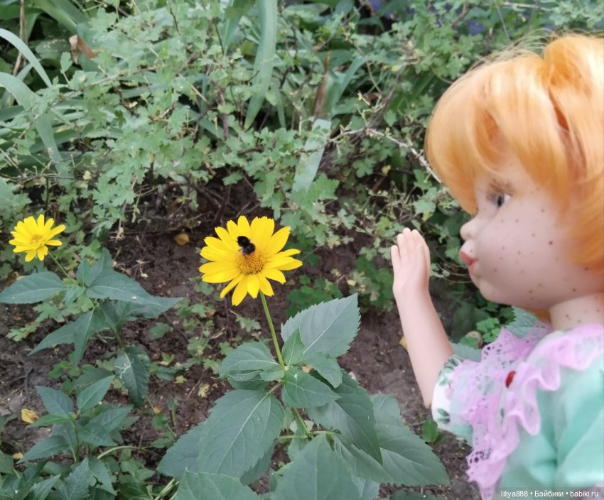 Солнышки для Солнышка 🌼☀️🌼