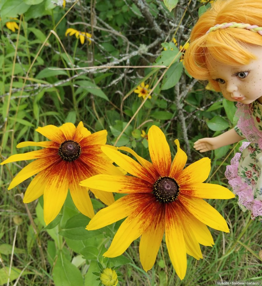 Солнышки для Солнышка 🌼☀️🌼