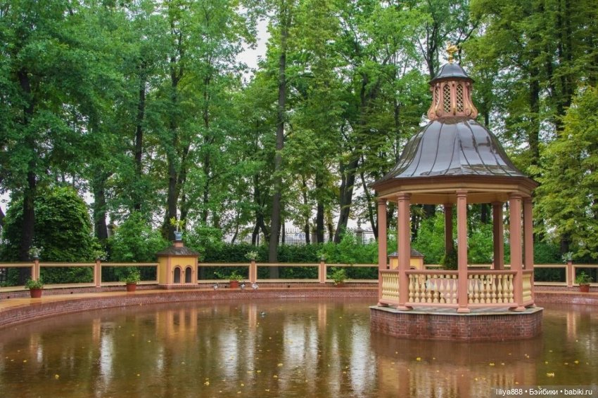 "И в Летний сад гулять.." 🌳🌳 (фото 10)
