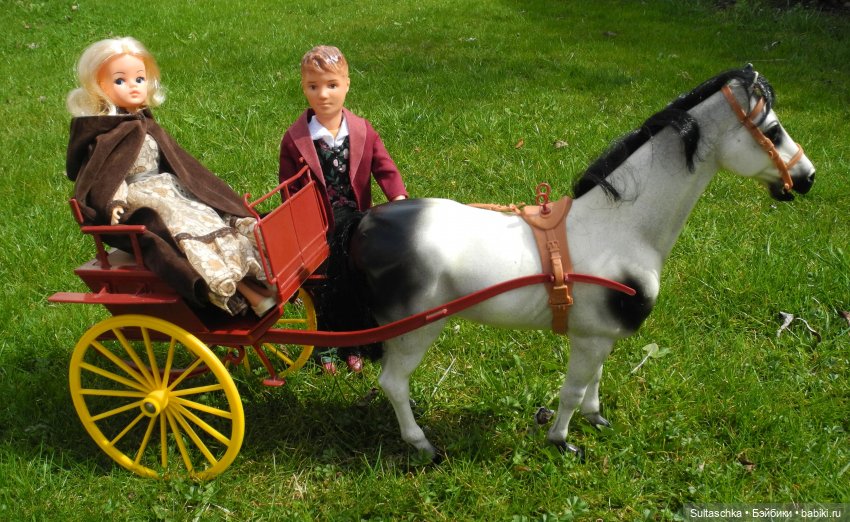 Синди Педигри или Симочкино новоселье