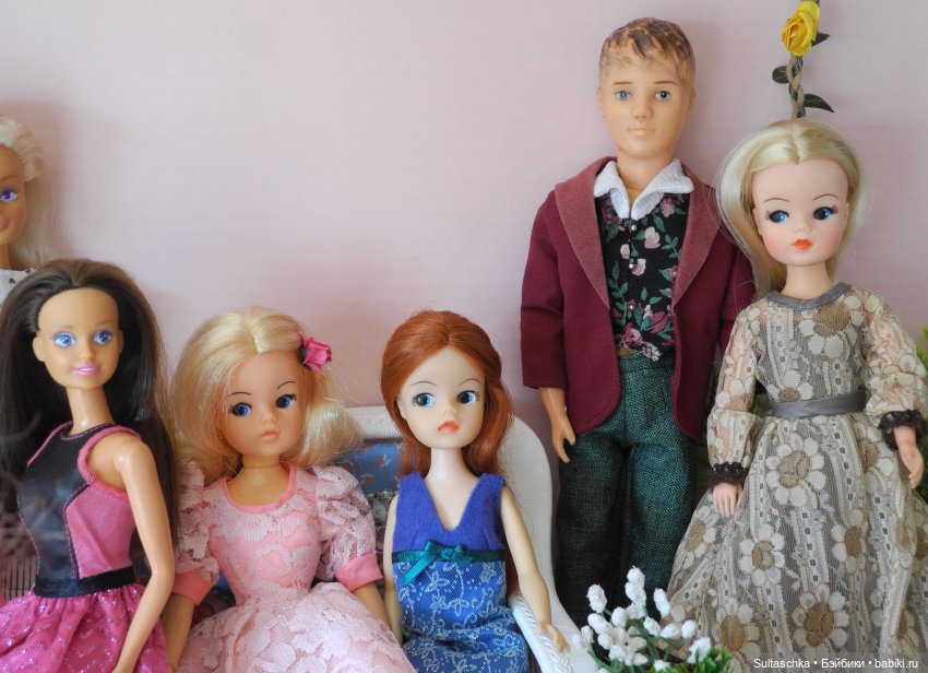 Синди Педигри или Симочкино новоселье