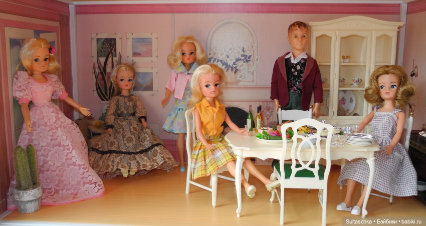 Синди Педигри или Симочкино новоселье