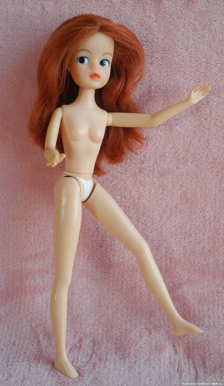 Синди Педигри или Симочкино новоселье