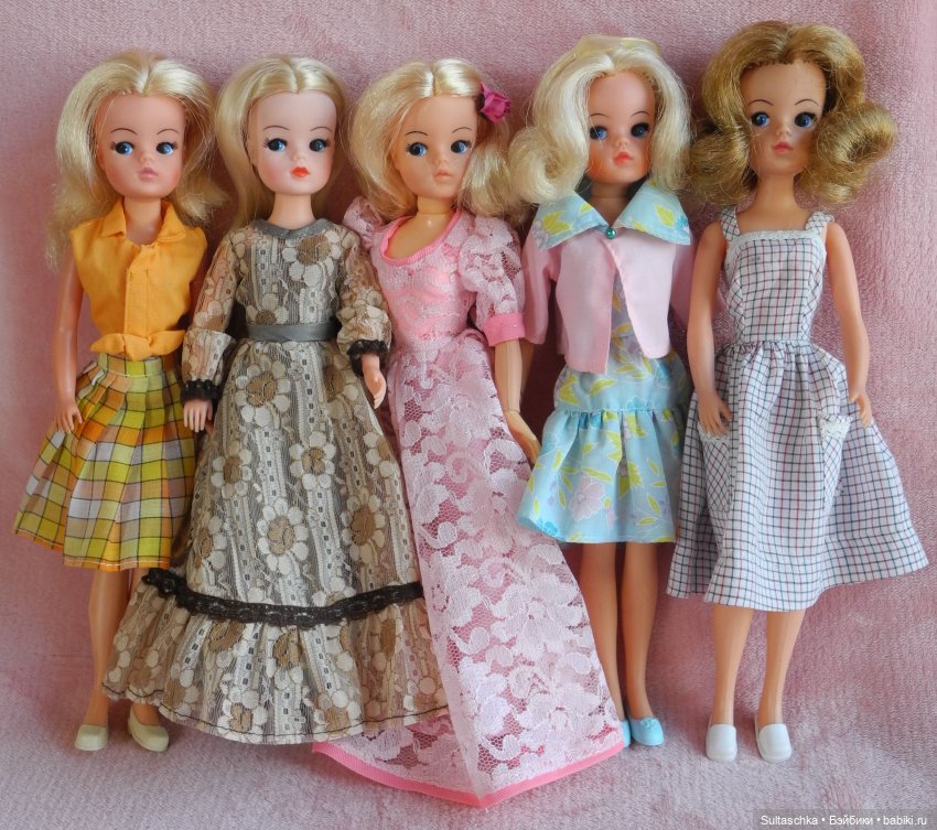 Синди Педигри или Симочкино новоселье