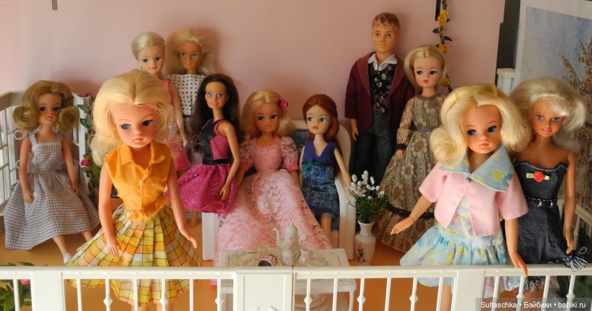 Синди Педигри или Симочкино новоселье