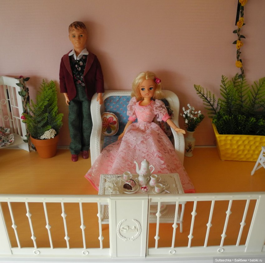 Синди Педигри или Симочкино новоселье