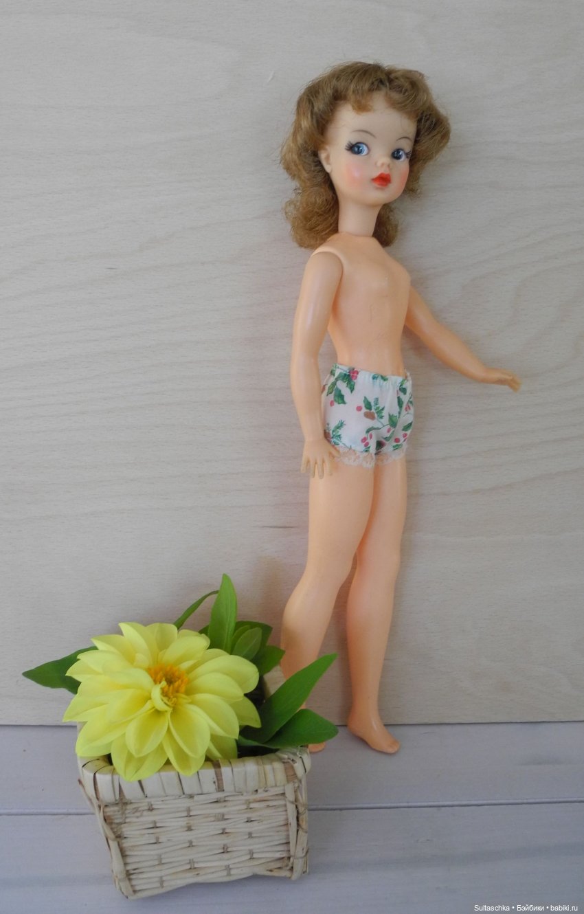 Тамми и подружки — Куклы Sindy (Синди) и Tammy (Тамми): винтаж