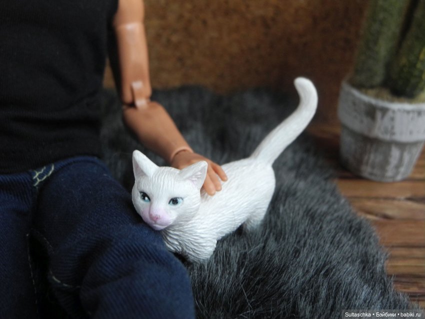 Естественные враги барракуд