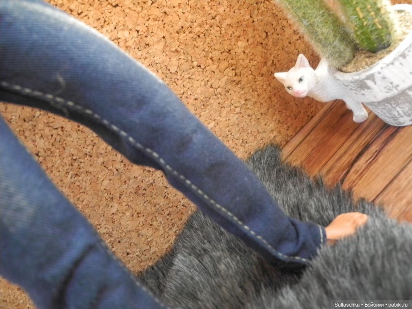 Естественные враги барракуд