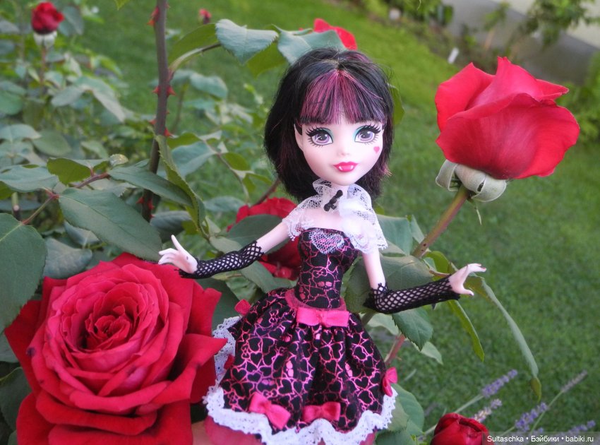 В дом проникли Монстры — Куклы Monster High и Ever After High: G1