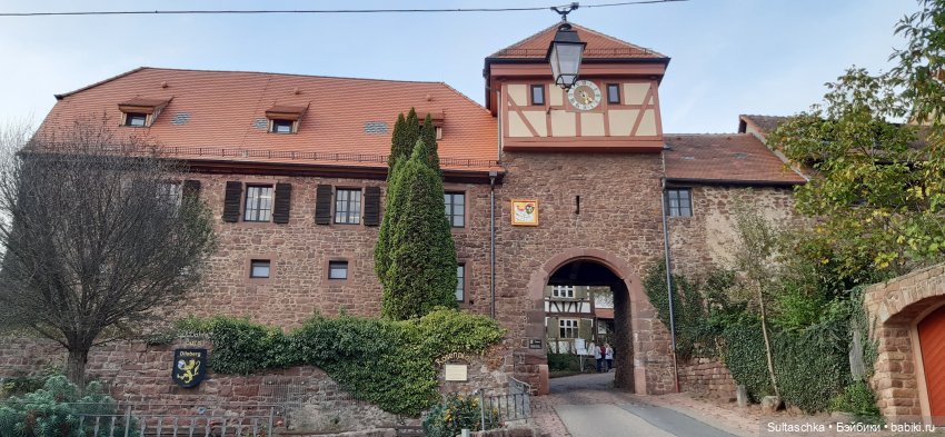 Моника в Хайдельберге — Туризм и путешествия: фотоотчеты из поездок