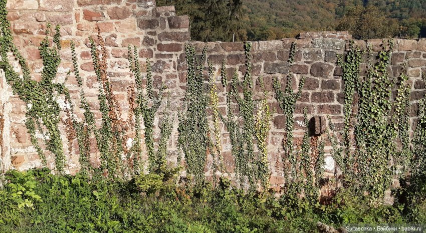 Моника в Хайдельберге — Туризм и путешествия: фотоотчеты из поездок