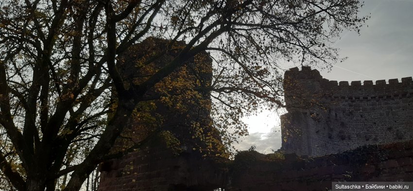 Моника в Хайдельберге — Туризм и путешествия: фотоотчеты из поездок