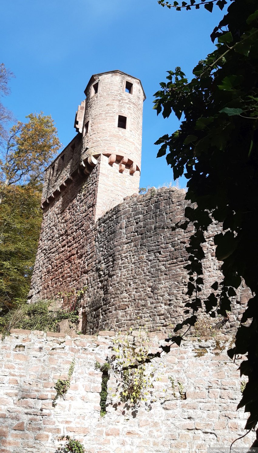 Моника в Хайдельберге — Туризм и путешествия: фотоотчеты из поездок