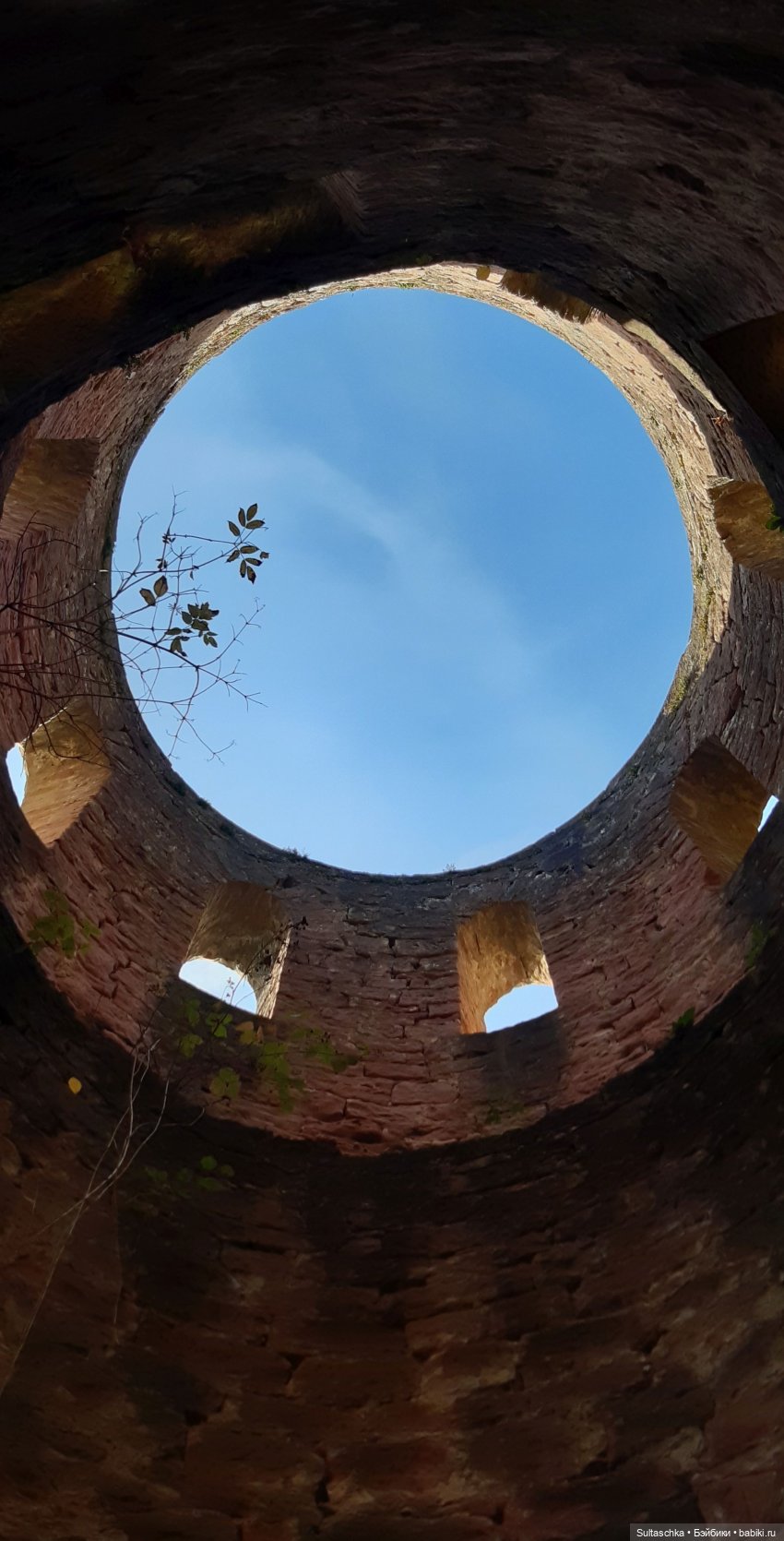 Моника в Хайдельберге — Туризм и путешествия: фотоотчеты из поездок