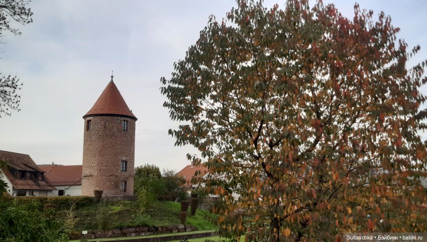 Моника в Хайдельберге — Туризм и путешествия: фотоотчеты из поездок