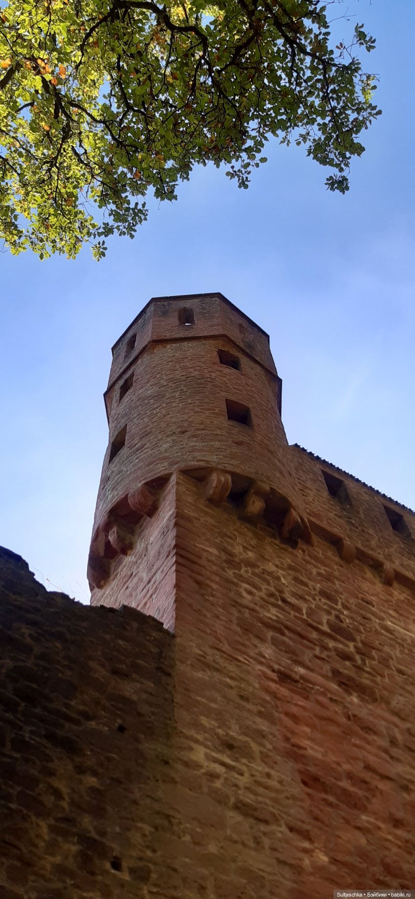 Моника в Хайдельберге — Туризм и путешествия: фотоотчеты из поездок