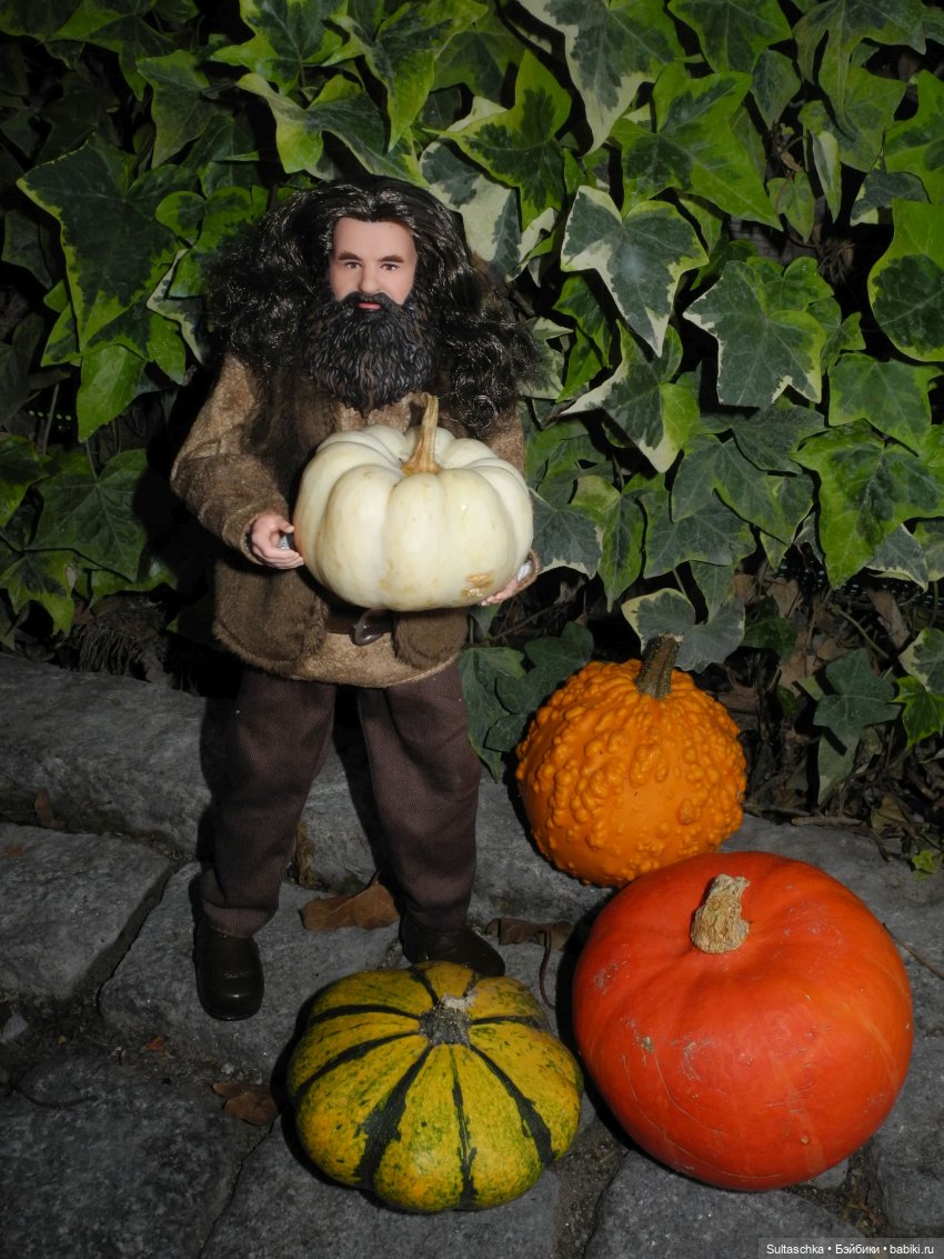 Хагрид "проснулся" — Куклы Barbie (Барби): Looks