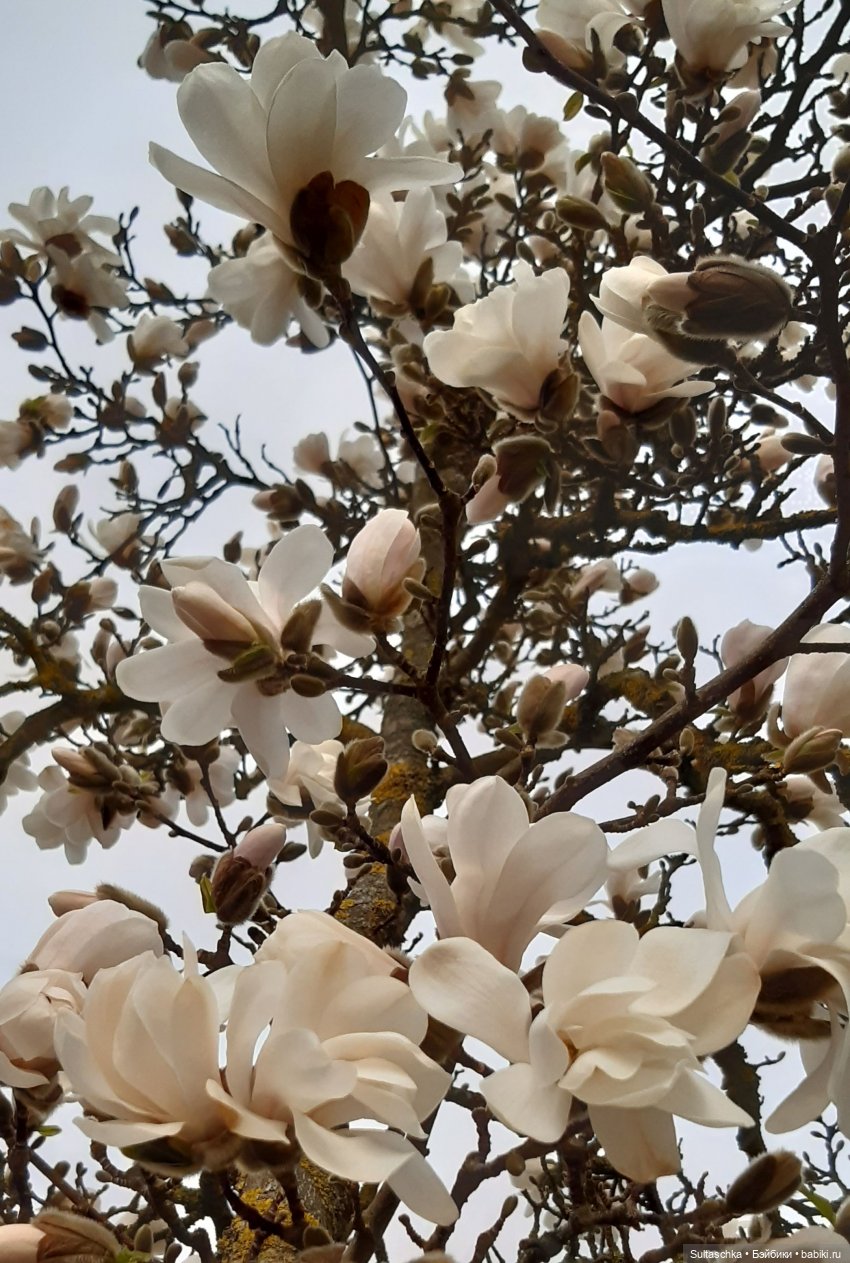 Из чего только сделаны девочки? Кукольные ноги и руки в разрезе. Часть 2