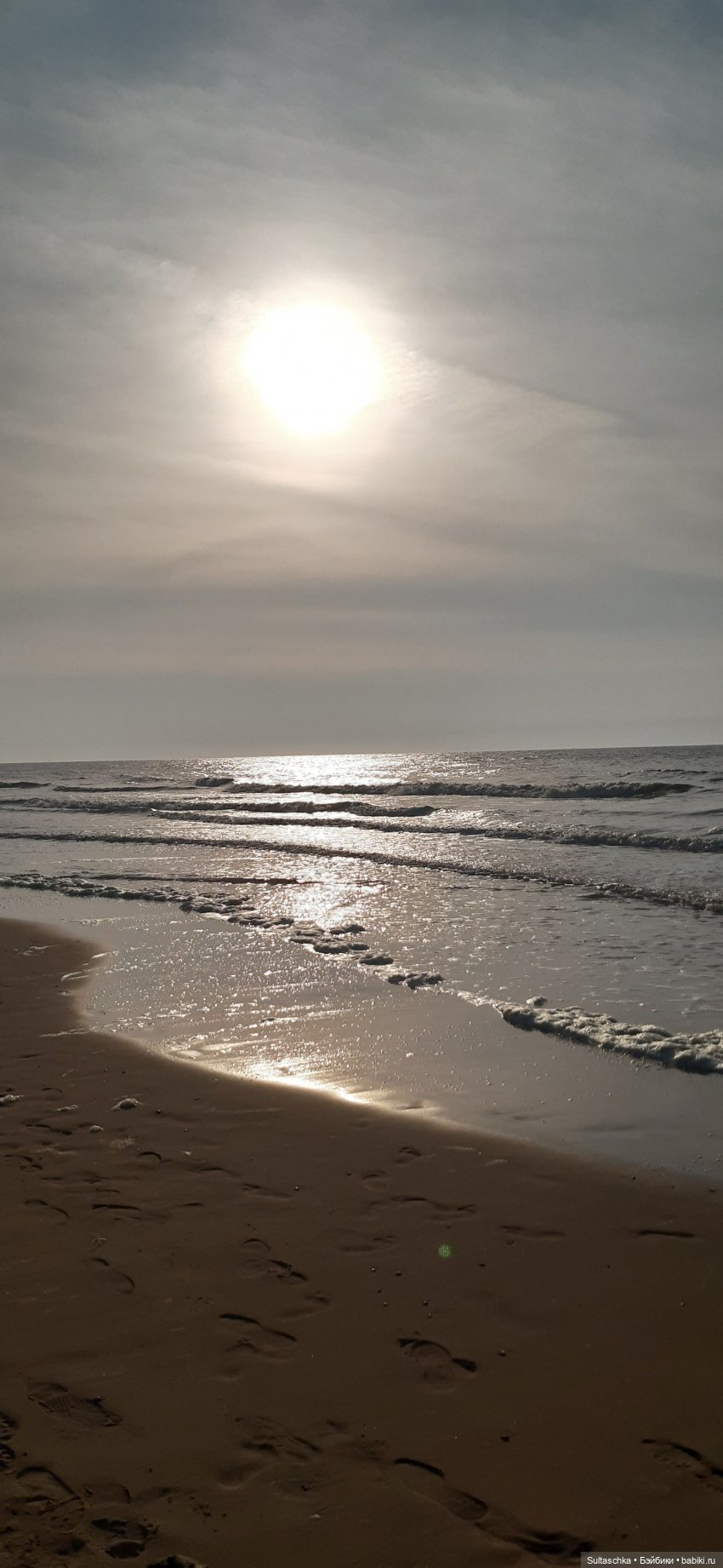 Голландия, Вермеер и цветы | Бэйбики Голландия, Вермеер и цветы