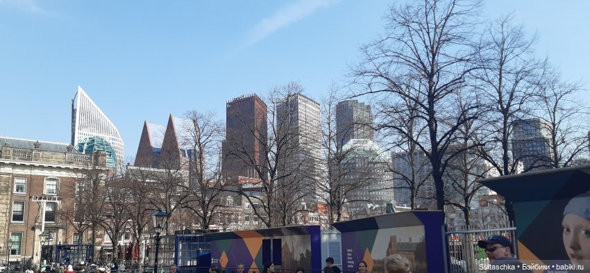 Голландия, Вермеер и цветы | Бэйбики Голландия, Вермеер и цветы