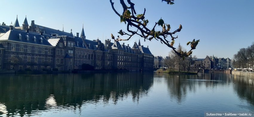 Голландия, Вермеер и цветы | Бэйбики Голландия, Вермеер и цветы (фото 10)