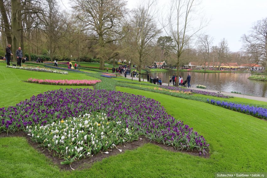 Голландия, Вермеер и цветы | Бэйбики Голландия, Вермеер и цветы