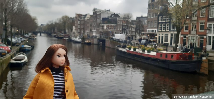 Голландия, Вермеер и цветы | Бэйбики Голландия, Вермеер и цветы (фото 8)