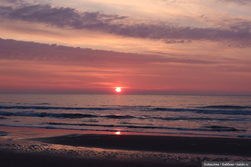 Голландия, Вермеер и цветы | Бэйбики Голландия, Вермеер и цветы