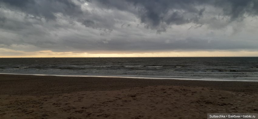 Голландия, Вермеер и цветы | Бэйбики Голландия, Вермеер и цветы