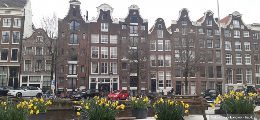 Голландия, Вермеер и цветы | Бэйбики Голландия, Вермеер и цветы (фото 9)