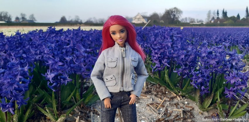 Голландия, Вермеер и цветы | Бэйбики Голландия, Вермеер и цветы