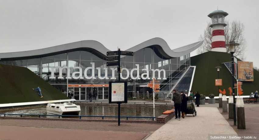 Голландия, Вермеер и цветы | Бэйбики Голландия, Вермеер и цветы