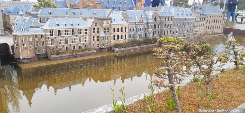 Голландия, Вермеер и цветы | Бэйбики Голландия, Вермеер и цветы