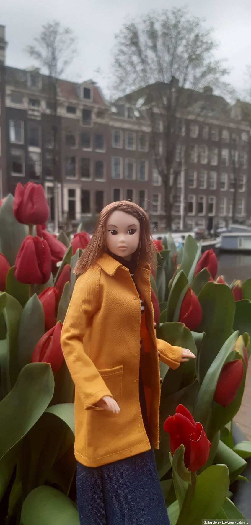 Голландия, Вермеер и цветы | Бэйбики Голландия, Вермеер и цветы (фото 7)