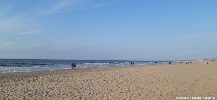 Голландия, Вермеер и цветы | Бэйбики Голландия, Вермеер и цветы