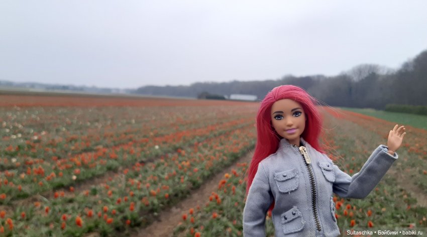 Голландия, Вермеер и цветы | Бэйбики Голландия, Вермеер и цветы