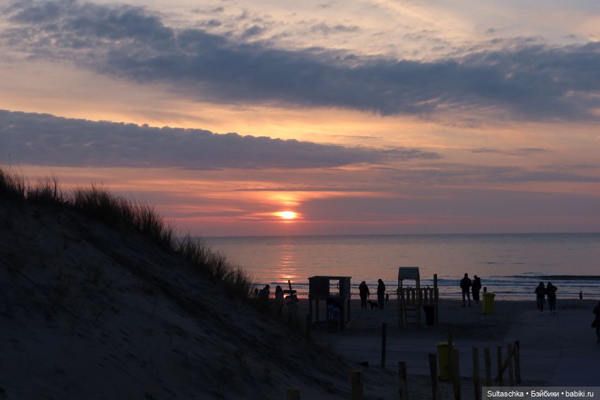 Голландия, Вермеер и цветы | Бэйбики Голландия, Вермеер и цветы
